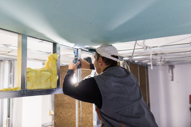 Best Insulation Removal  in Temple, PA