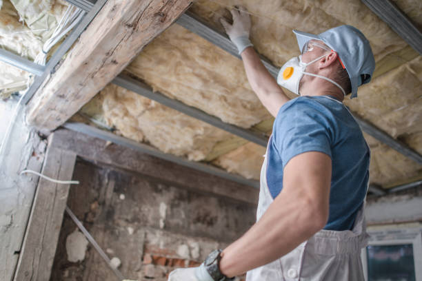 Best Wall Insulation Contractor  in Temple, PA