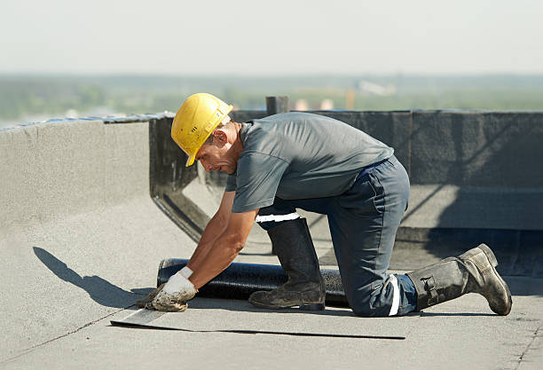Best Insulation Removal Services  in Temple, PA