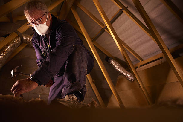 Best Insulation for New Construction  in Temple, PA